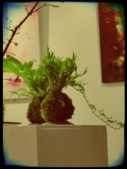 découvrez l'art du kokedama, une technique japonaise unique de création de plantes en boule de mousse, alliant esthétique et nature pour décorer votre intérieur avec élégance.